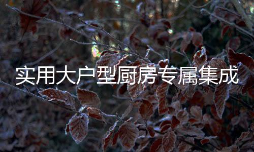 成灶次108系列超长机身尺寸