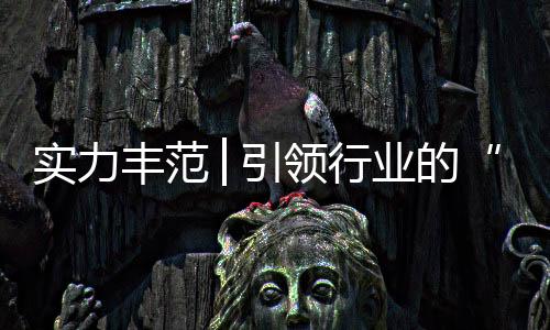 丰范同时也成为了行业先行者