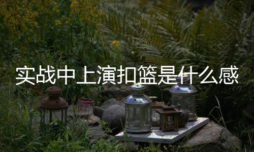 开拓者86-96不敌灰熊