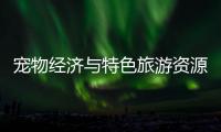 快排公司十年历程，霸屏兔 seo 的崛起与坚守