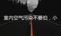 室内空气污染不要怕
，小海鸥贝壳粉还你清新空气!