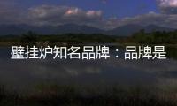 壁挂炉知名品牌：品牌是“亮点” 售后服务树口碑