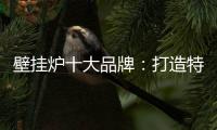 壁挂炉十大品牌
：打造特色产品 立足国际市场之林