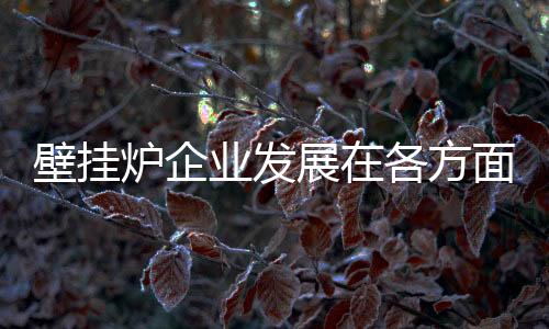 壁挂炉企业只有修炼好软实力