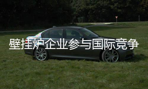 炉企在国际大舞台上大放异彩