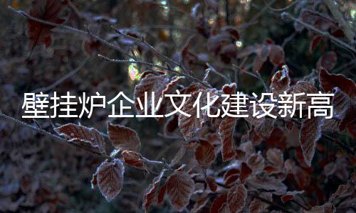 高素质的壁挂企业团队
