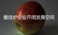 壁挂炉企业开阔发展空间 通过“四步走”来实现