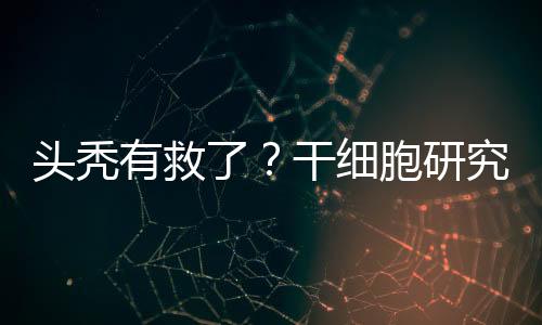 这一研究结果表明