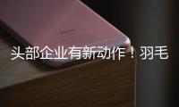 头部企业有新动作！羽毛球又掀“涨价潮”
？