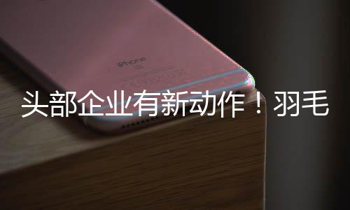 刀翎批发价约为每斤200元