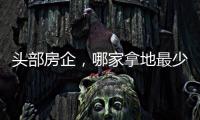 头部房企，哪家拿地最少