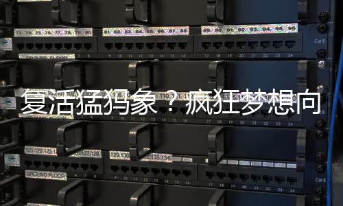 丨科研究人员在论文中表示