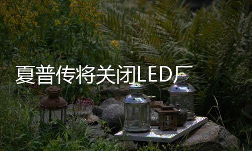 又巨夏普将重整日本国内事业