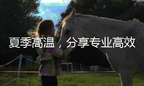 高效最终残留在漆膜中