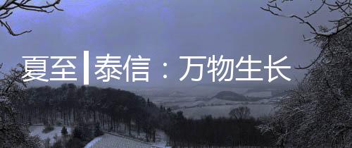 ┃泰┃泰作物快速生长