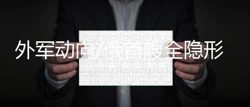 俄首为登陆提供炮火支援