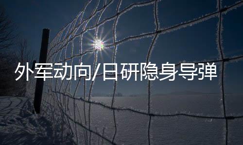 日研新导弹截面呈六边形