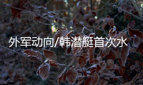 并将其建成核动力潜艇