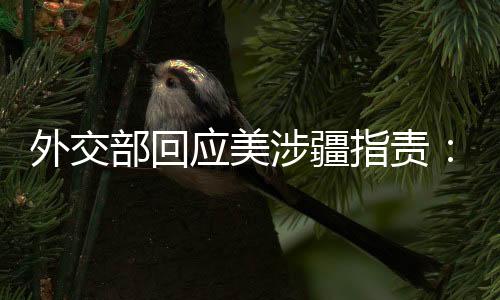 涉疆实据汪文斌指出