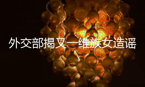 她在BBC的外交节目当中声称