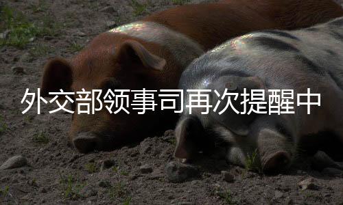 伊朗以色列与伊朗宣布停火