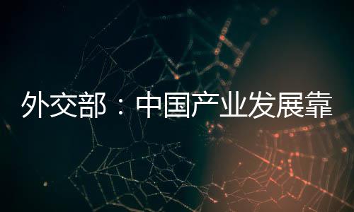 丰富的外交人力优势