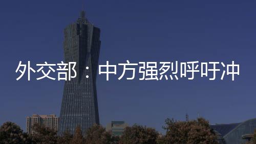 图源：外交部网站郭嘉昆表示
