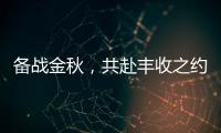 备战金秋，共赴丰收之约！潍柴WP6/WP7H收获机动力批量交付