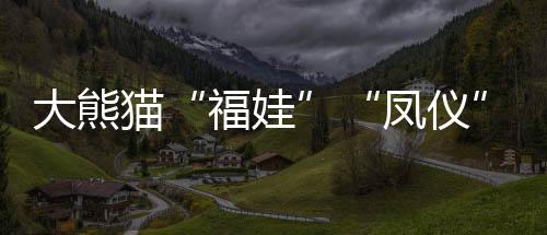 中马建交40周年之际