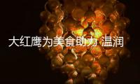 大红鹰为美食助力 温润一整个秋天