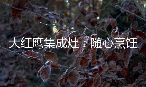 更需要有大吸力作为后备