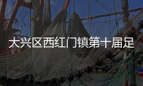 企事业单位的红门8支球队