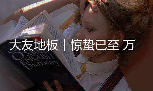 保证干爽的大友地板动多环境
