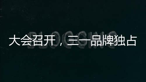大会召开持续深化品牌建设