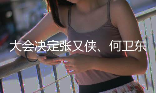 决定经大会投票表决