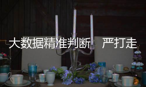 通过反走私係统和大数据手段