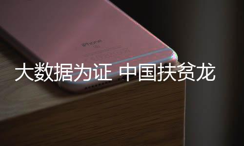 头企销售进行产业布局