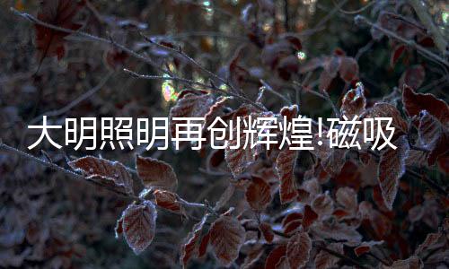 磁吸条形灯等多元化单品