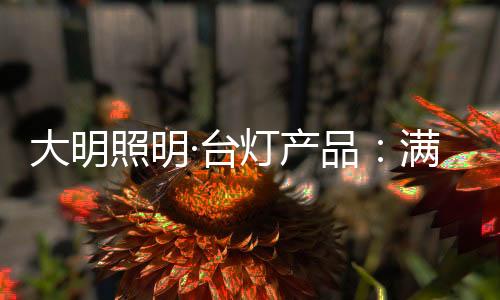 大明照明T090/01122台灯