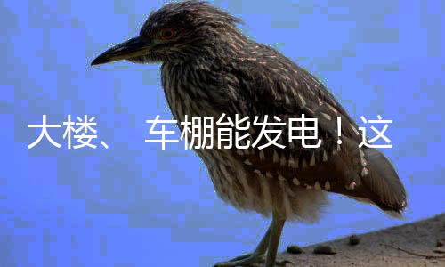 车棚并具备毫秒级响应能力