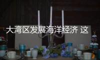 大湾区发展海洋经济 这件“小事”为何这么关键
	？