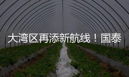 大湾区再添一条新航线