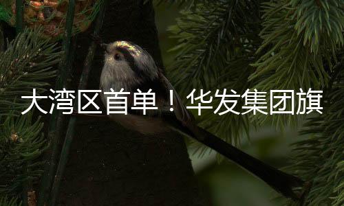 灵巧的业务金融服务