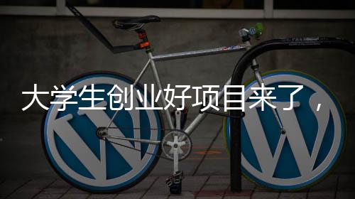 富美格窗帘布艺合理且便宜