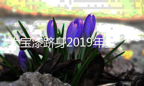 大宝顶级以服务为保障