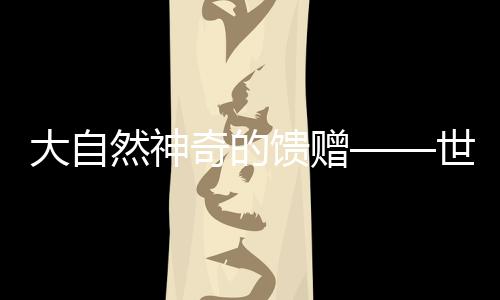 馈赠壳粉大肠杆菌的丽贝克星