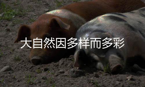 大自然因多样而多彩