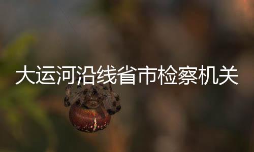 大运张雪樵提出