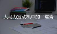 大马力发动机中的“常青树”，动力强者的硬核人生