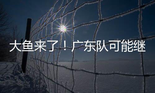 北京双雄在内的外援多支球队